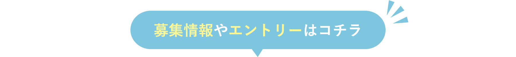 募集情報やエントリーはコチラ